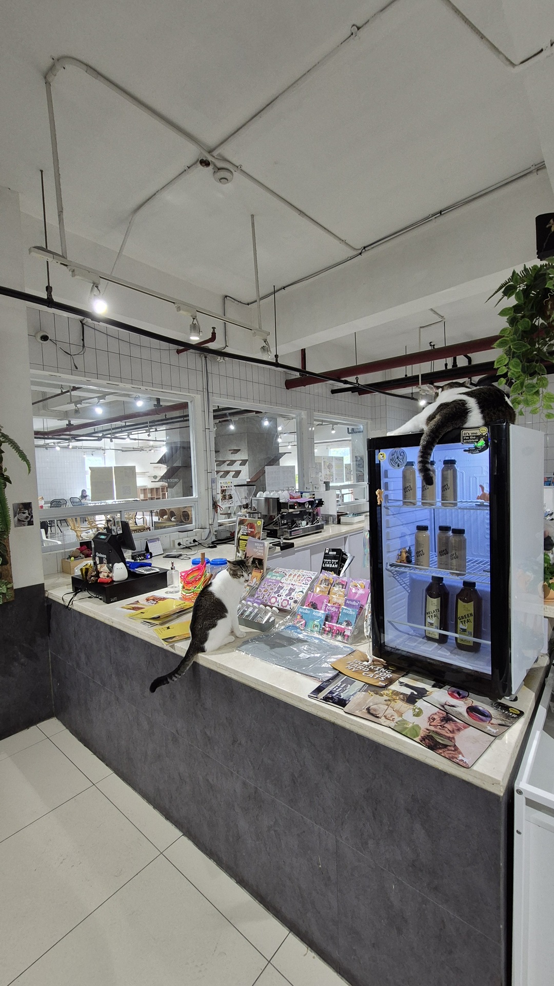 Calicoffice