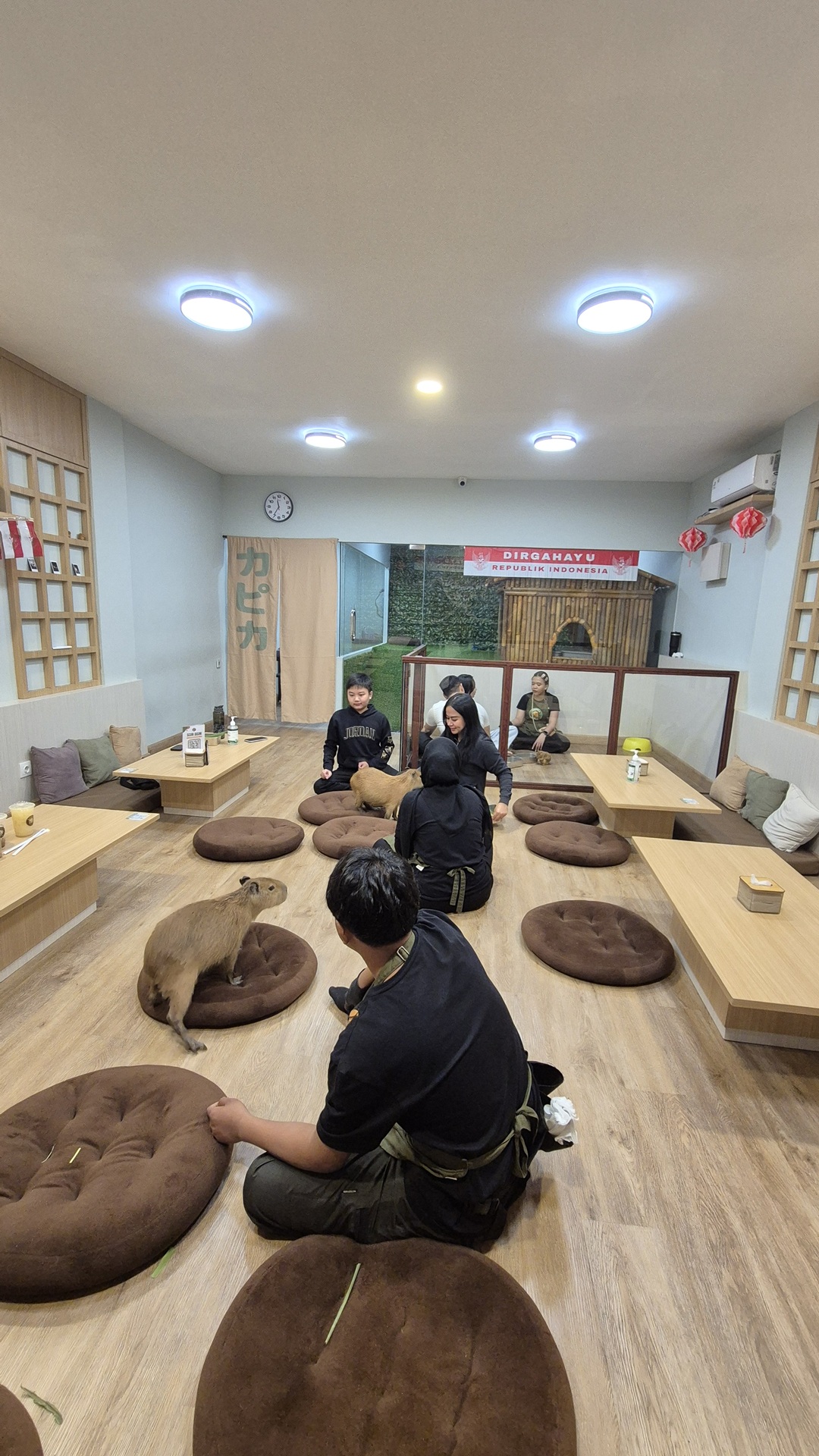 capyca pet cafe